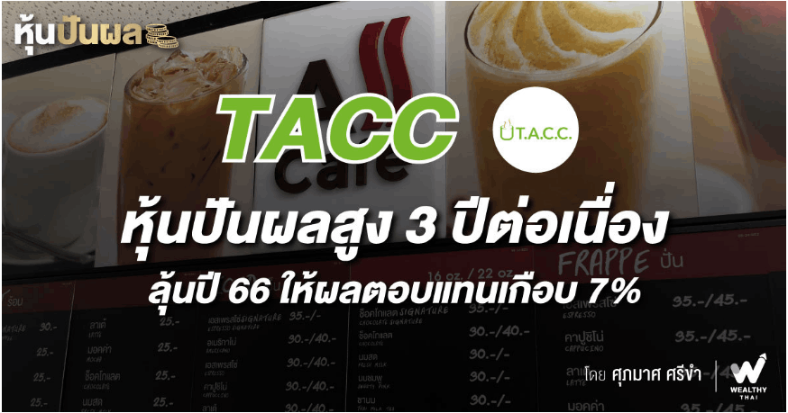 TACC หุ้นปันผลสูง 3 ปีต่อเนื่อง